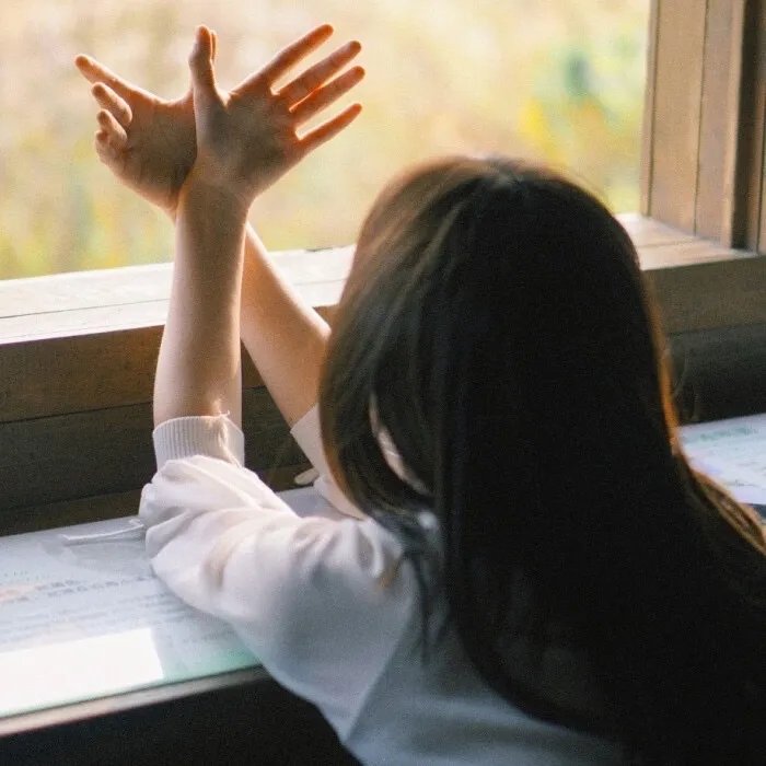 岸边露伴卢浮宫之行